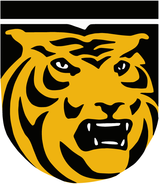 Colorado College Tigers 1978-Pres Primary Logo diy fabric transfer